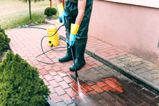 Best Vinyl Siding Pressure Washing in La Crescent, MN